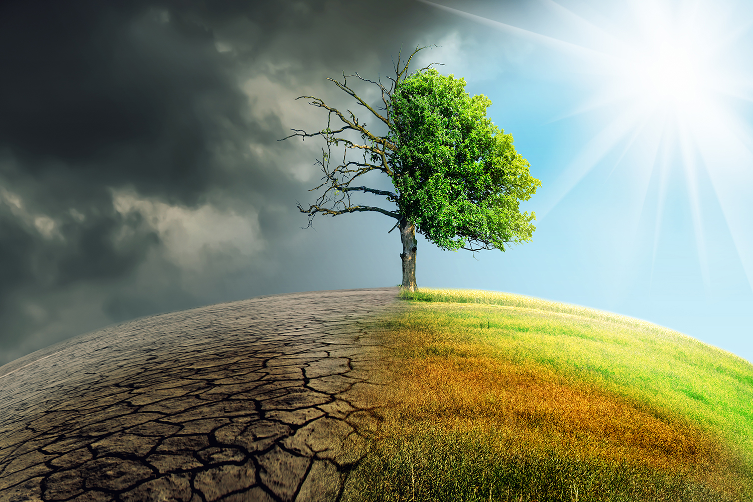 Gegen den Klimawandel helfen keine Medikamente